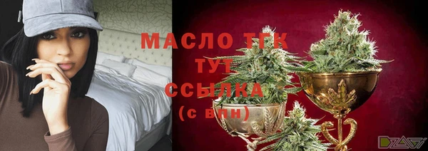 твердый Инсар