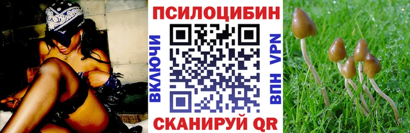 купить наркотики сайты  Дорогобуж  Галлюциногенные грибы мухоморы 